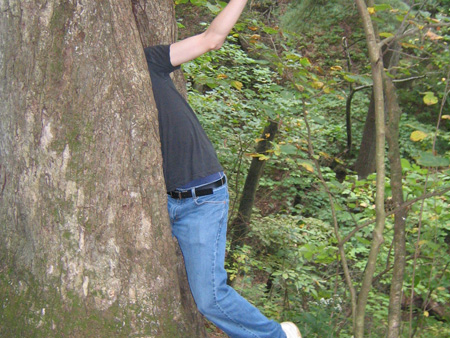 A tree ate me