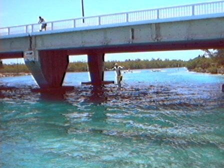 Bridge Jump
