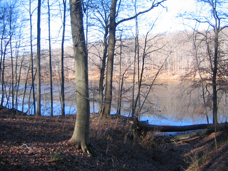 Brown County