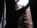 December 24th