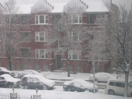 Early Winter