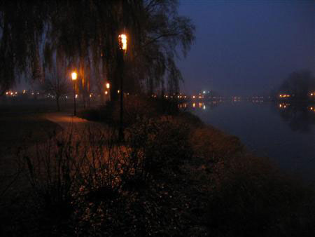 Fog on the Fox