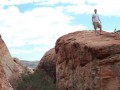 April 12th