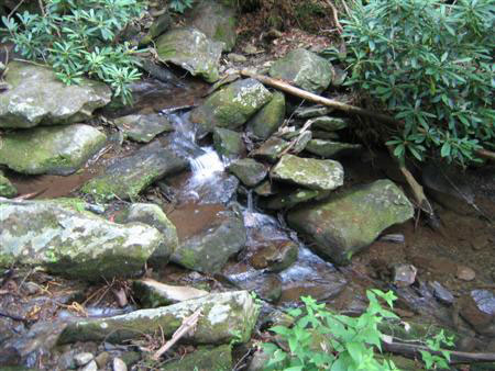 Mountain Stream
