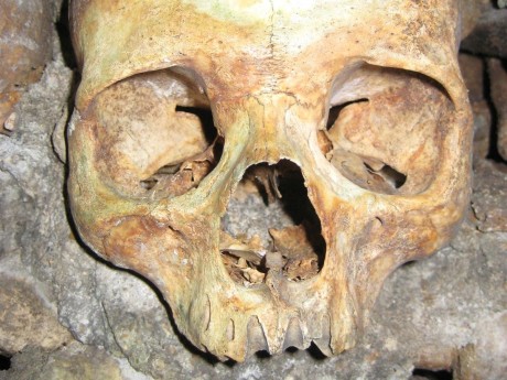 Paris Skull