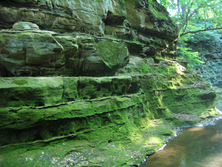 Ravine
