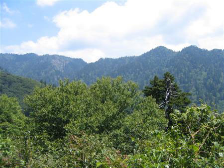 Smoky Mountains
