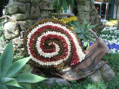 Snail 1