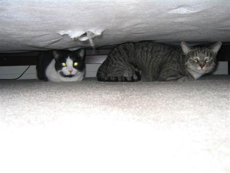 Under the Bed