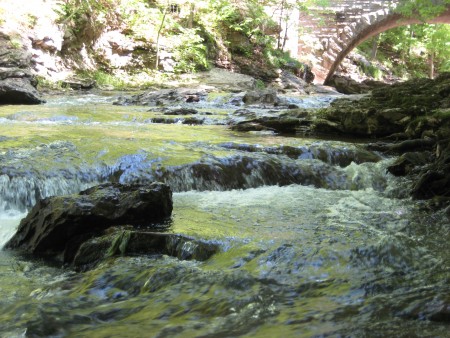 water bridge